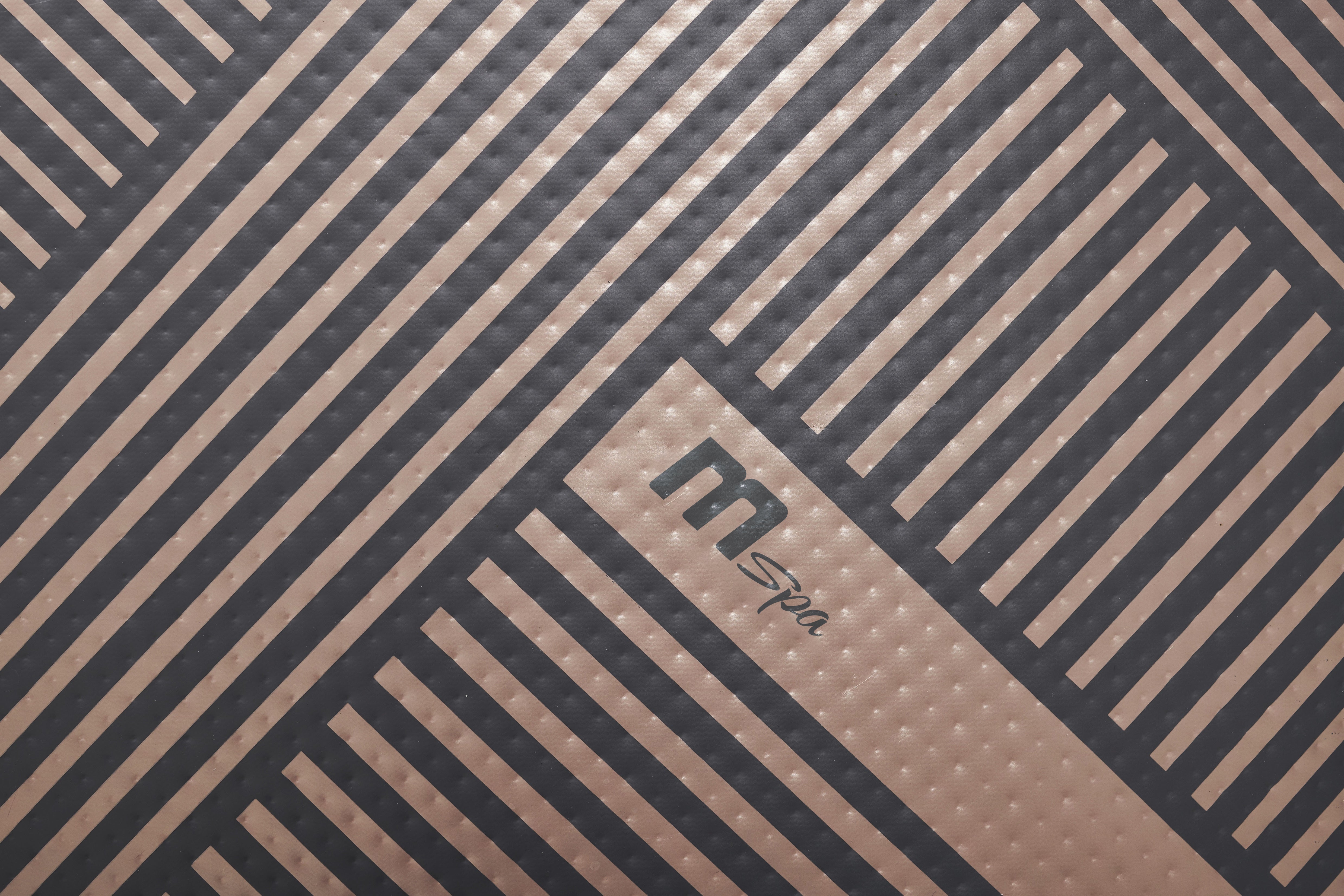 Mspa Whirlpool Mono Eco PLUS 2026 App Steuerung